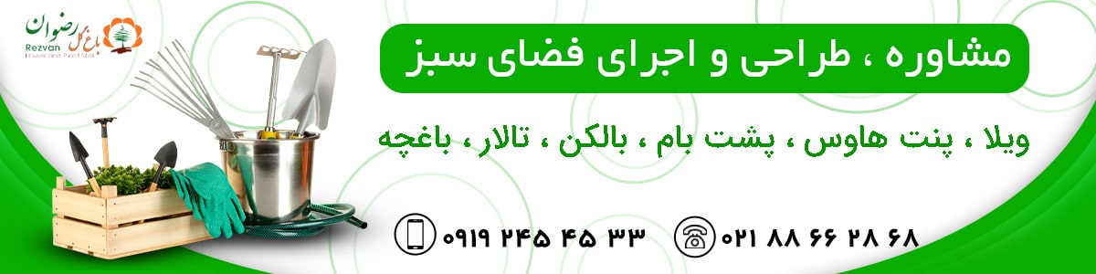 طراحی و اجرای فضای سبز