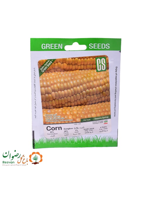 بذر ذرت بلال