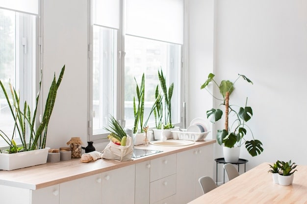 گیاهان مناسب برای فضای آشپزخانه