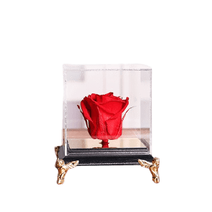 Immortal Rose رز جاودان