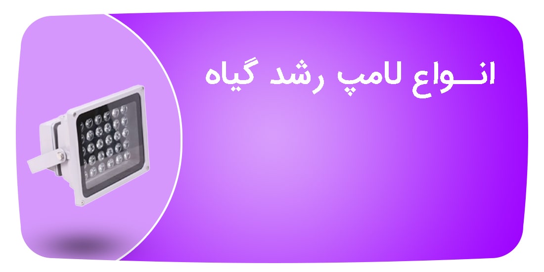 لامپ رشد گیاه