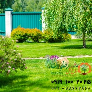 طراحی فضای سبز