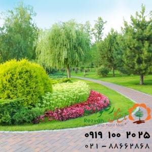 طراحی فضای سبز