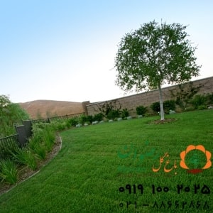 طراحی فضای سبز