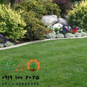 طراحی فضای سبز