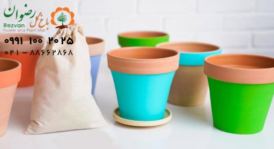 گلدان مناسب