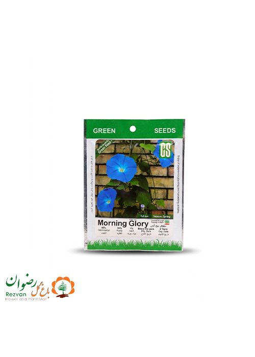 بذر نیلوفر پیچ آبی